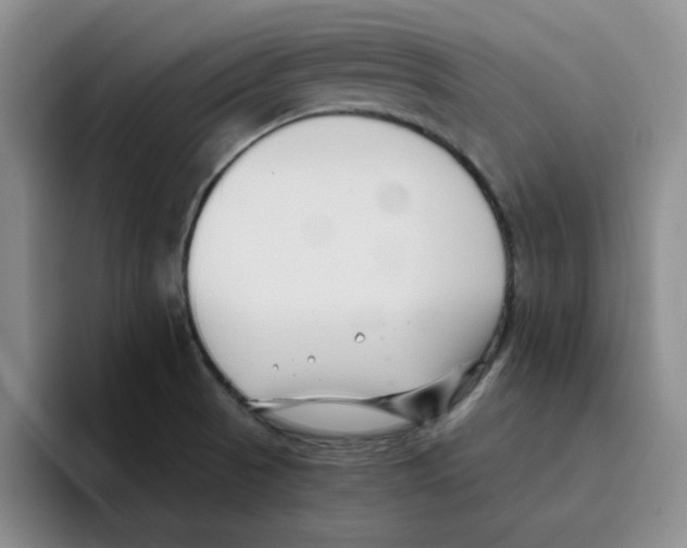 X0000096161521200802151404