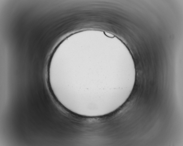 X0000096161523200802151404