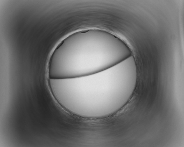 X0000096161524200802151404