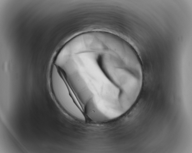 X0000096161525200802151404