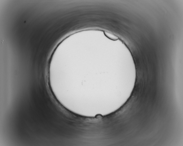 X0000096161526200802151404