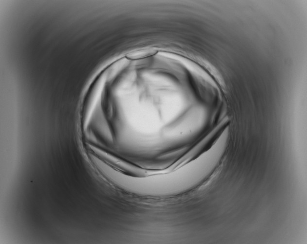 X0000096161530200802151404