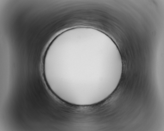 X0000096161531200802151404