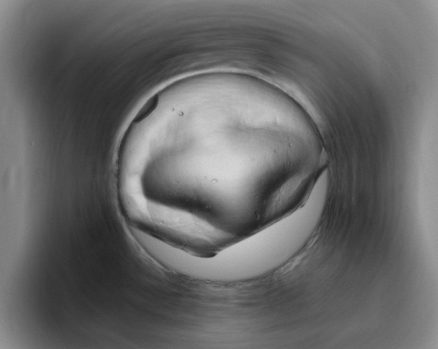 X0000096161532200802151404