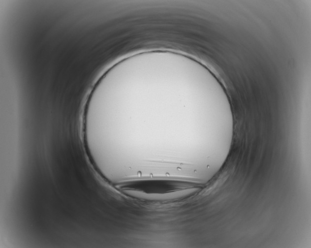 X0000096161535200802151404