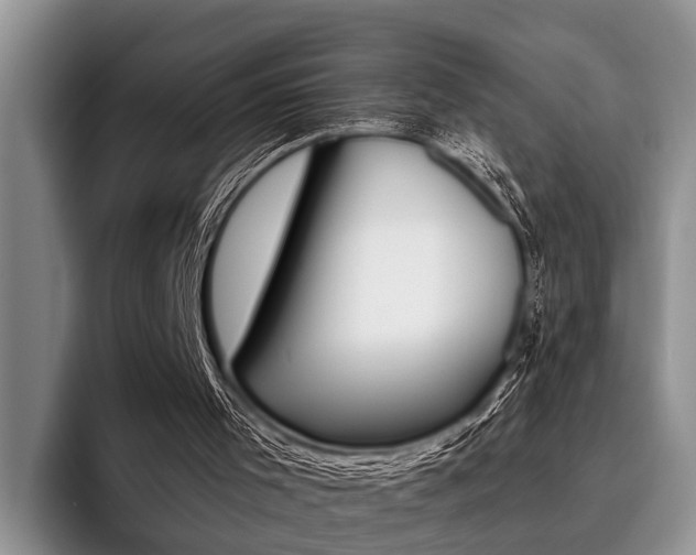 X0000096170001200801180839