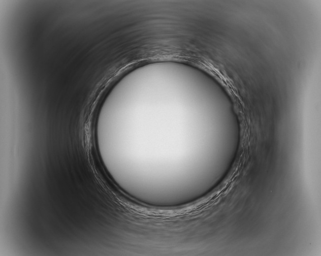 X0000096170002200801180839