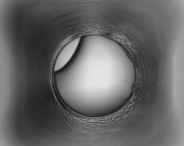 X0000096170003200801180839