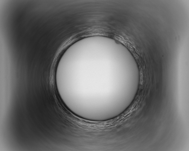 X0000096170004200801180839