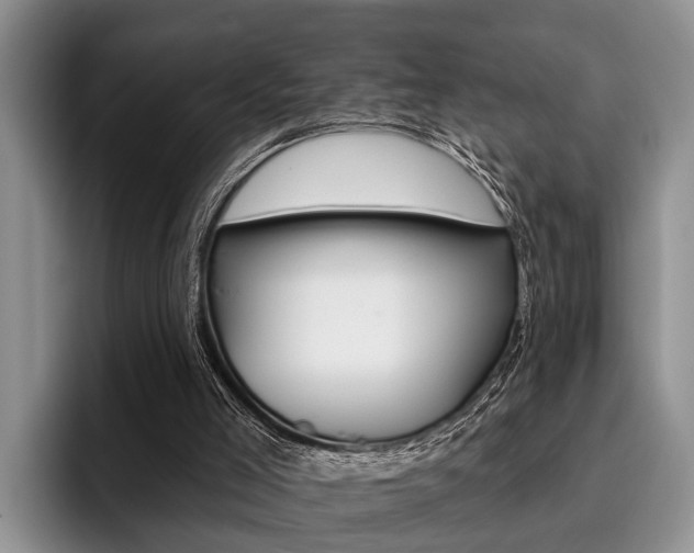 X0000096170005200801180839