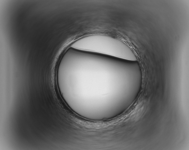 X0000096170006200801180839