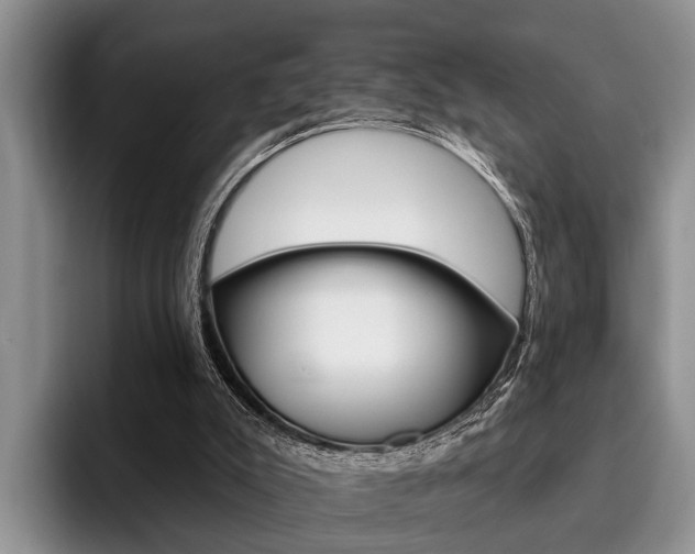 X0000096170007200801180839