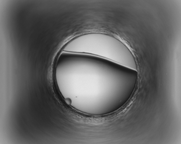 X0000096170008200801180839