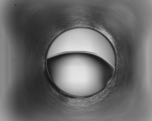 X0000096170009200801180839