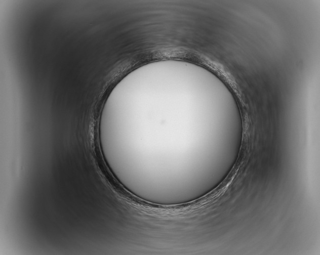 X0000096170010200801180839