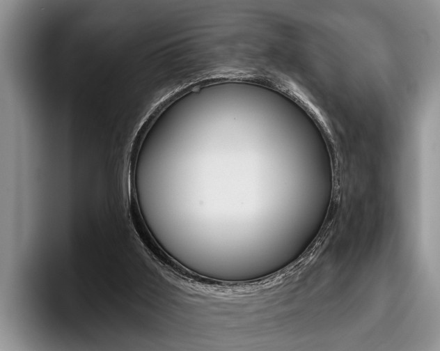 X0000096170011200801180839