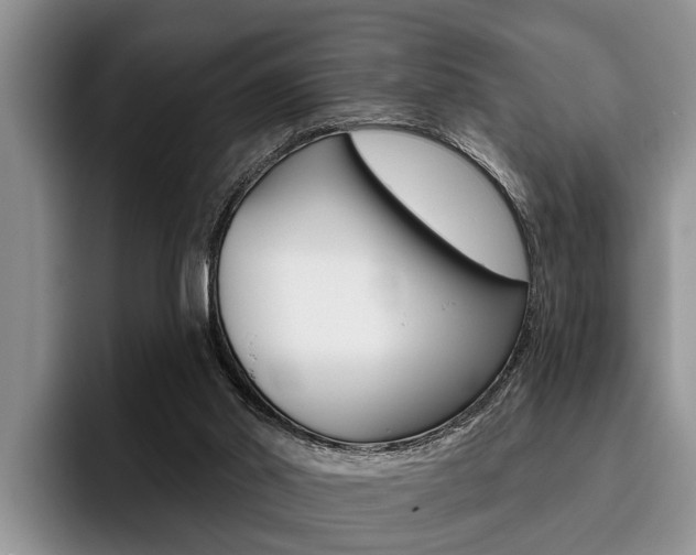 X0000096170014200801180839