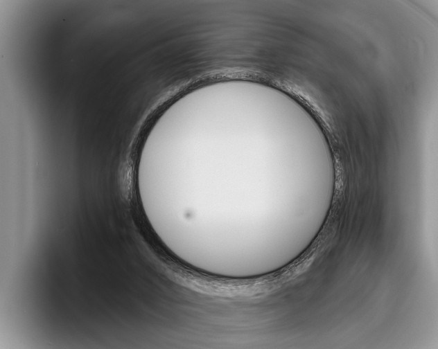 X0000096170016200801180839