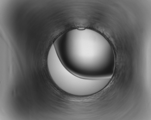 X0000096170017200801180839