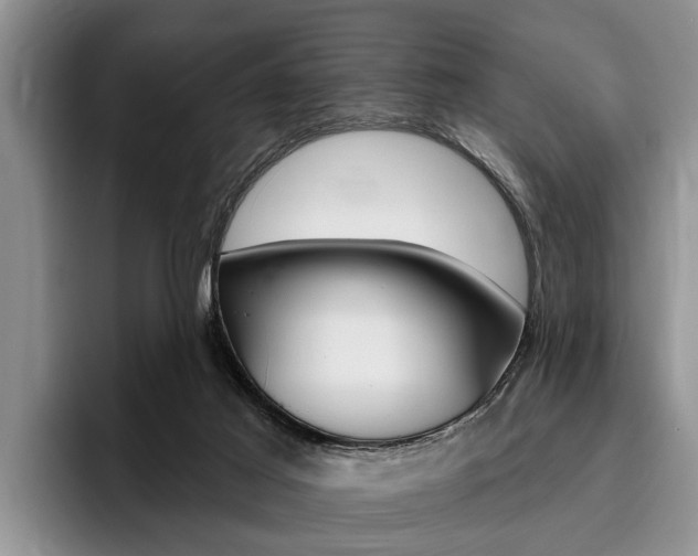 X0000096170021200801180839