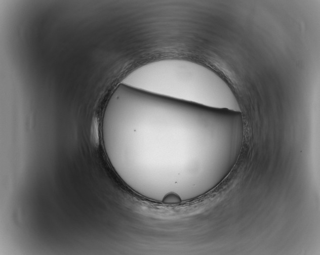 X0000096170022200801180839