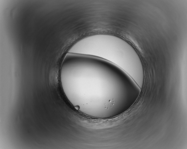 X0000096170023200801180839