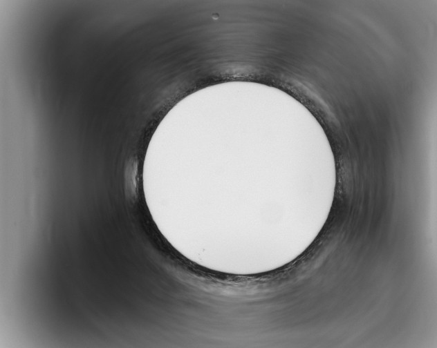 X0000096170024200801180839