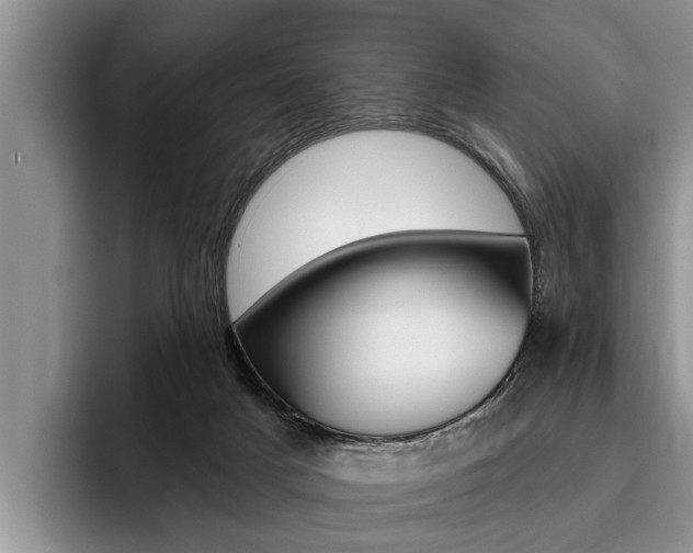 X0000096170025200801180839