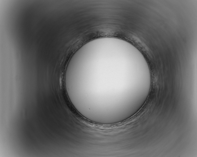 X0000096170026200801180839