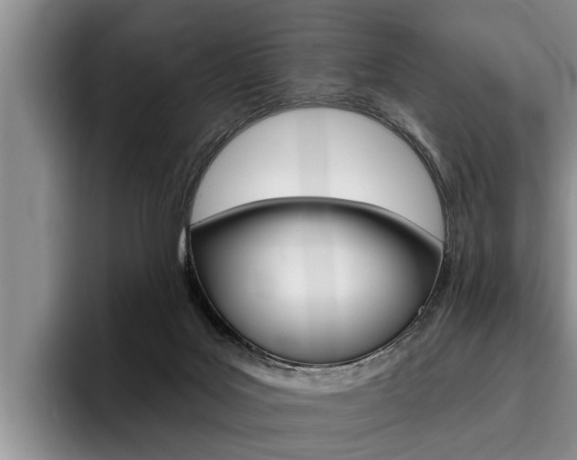 X0000096170027200801180839