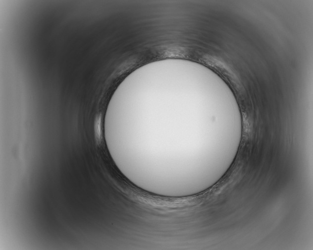 X0000096170028200801180839