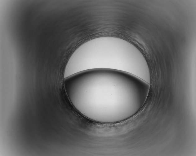 X0000096170029200801180839