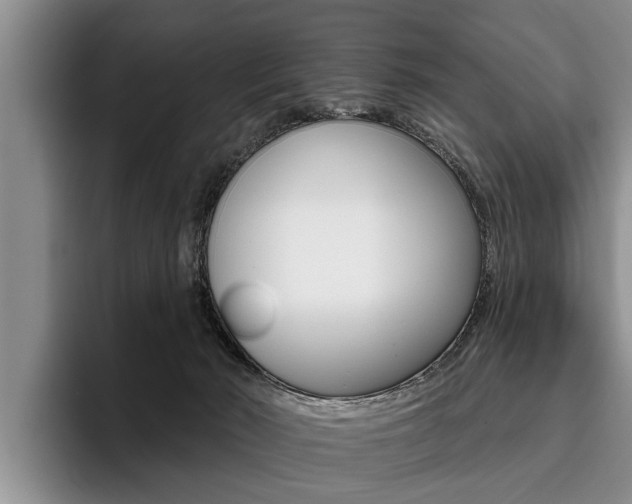 X0000096170030200801180839