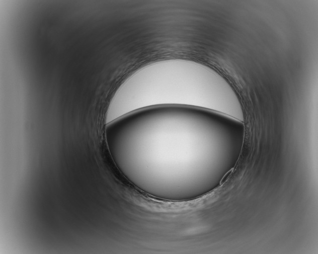 X0000096170031200801180839