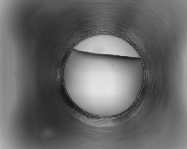 X0000096170032200801180839