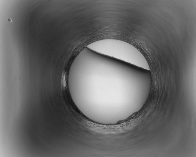 X0000096170042200801180839
