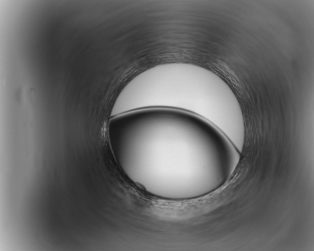 X0000096170045200801180839