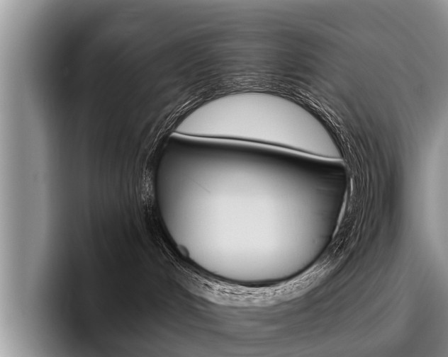 X0000096170048200801180839