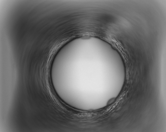 X0000096170049200801180838