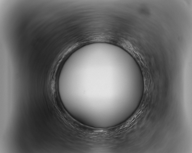 X0000096170050200801180838