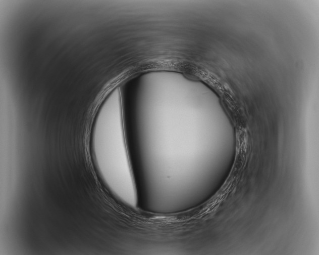 X0000096170051200801180838