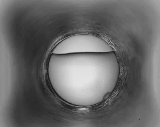 X0000096170053200801180838