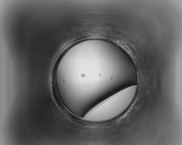 X0000096170055200801180838