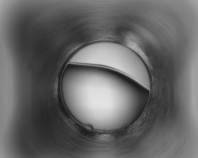 X0000096170058200801180838