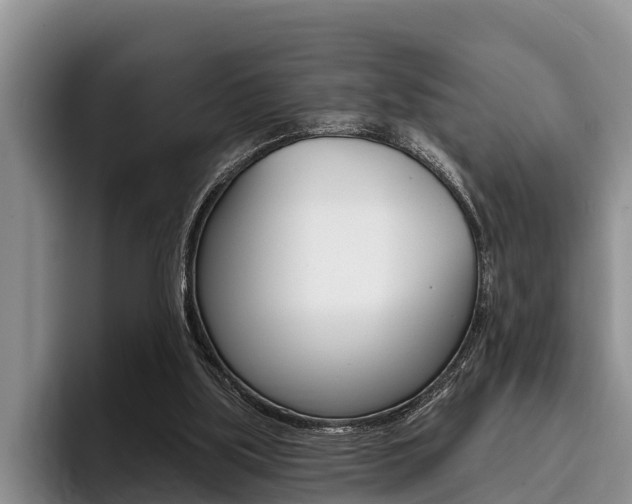 X0000096170059200801180838