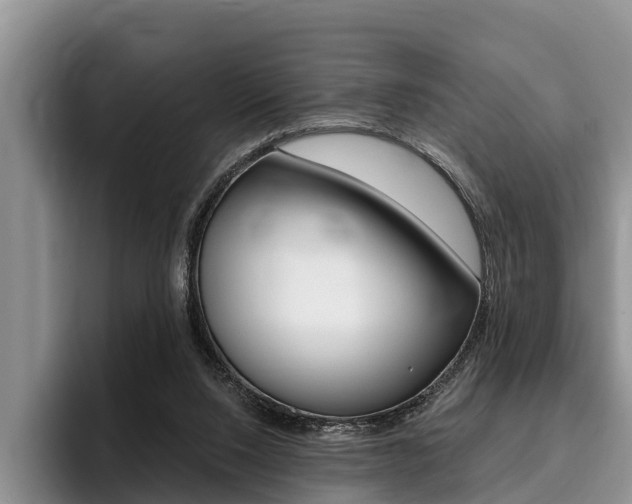 X0000096170064200801180838