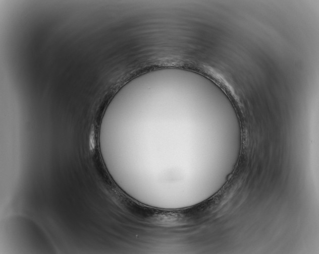 X0000096170069200801180838