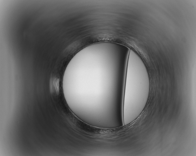 X0000096170070200801180838