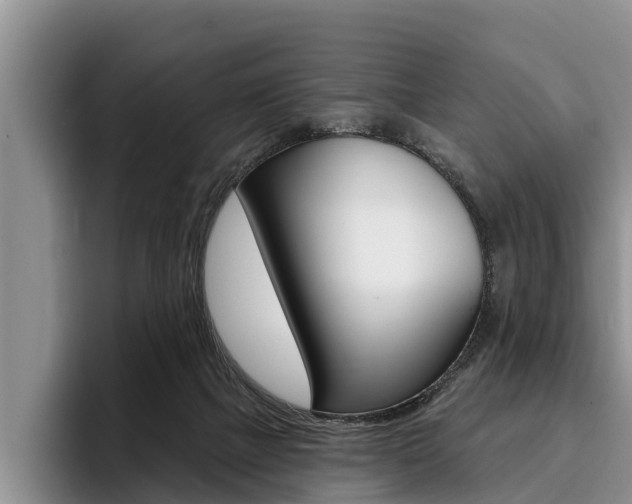 X0000096170073200801180838