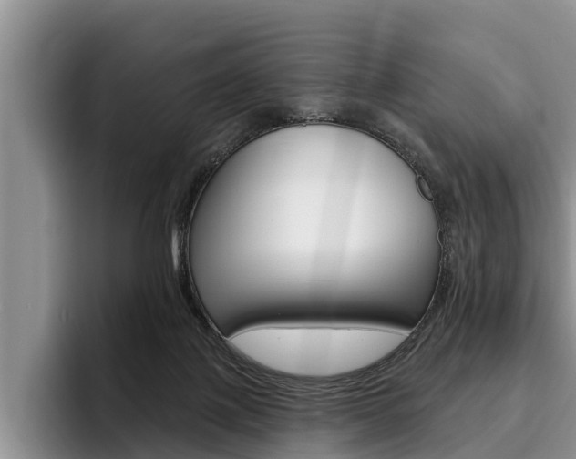 X0000096170075200801180838